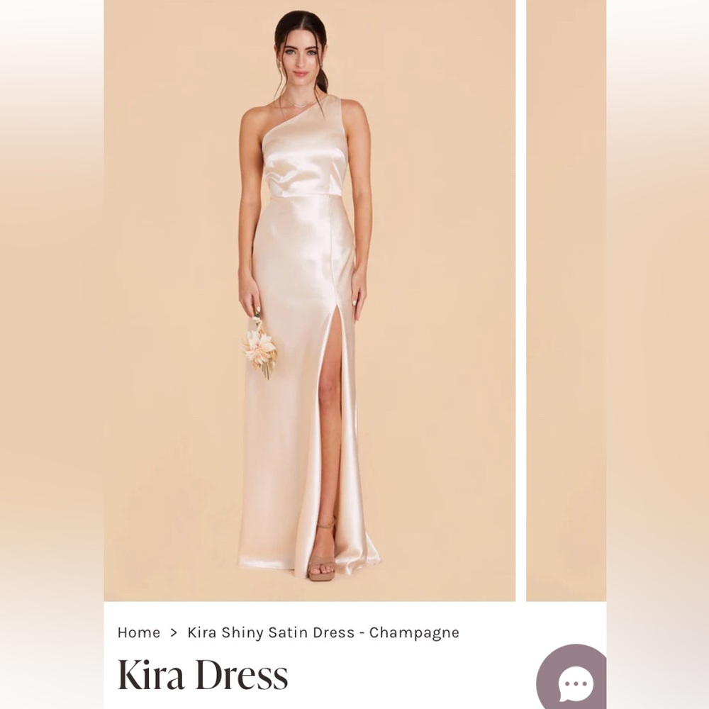 Birdy Grey Kira Dress in Champagne